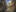 34223 Ext 07 Small