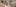 2048X900 34223 Int 02 Small 3 Kamer App Bnr 238